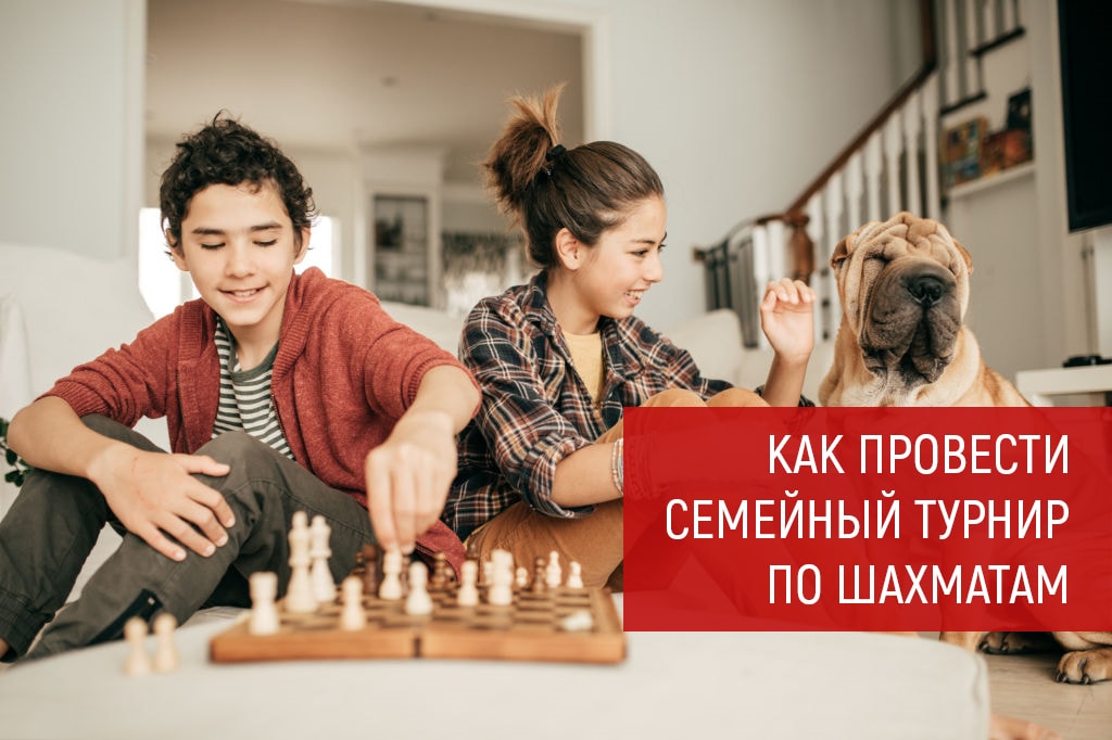 Как провести семейный турнир по шахматам